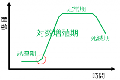 微生物の増殖曲線